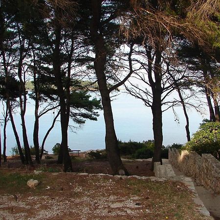 ילסה Apartments Matkov - Quite And Peaceful Location מראה חיצוני תמונה