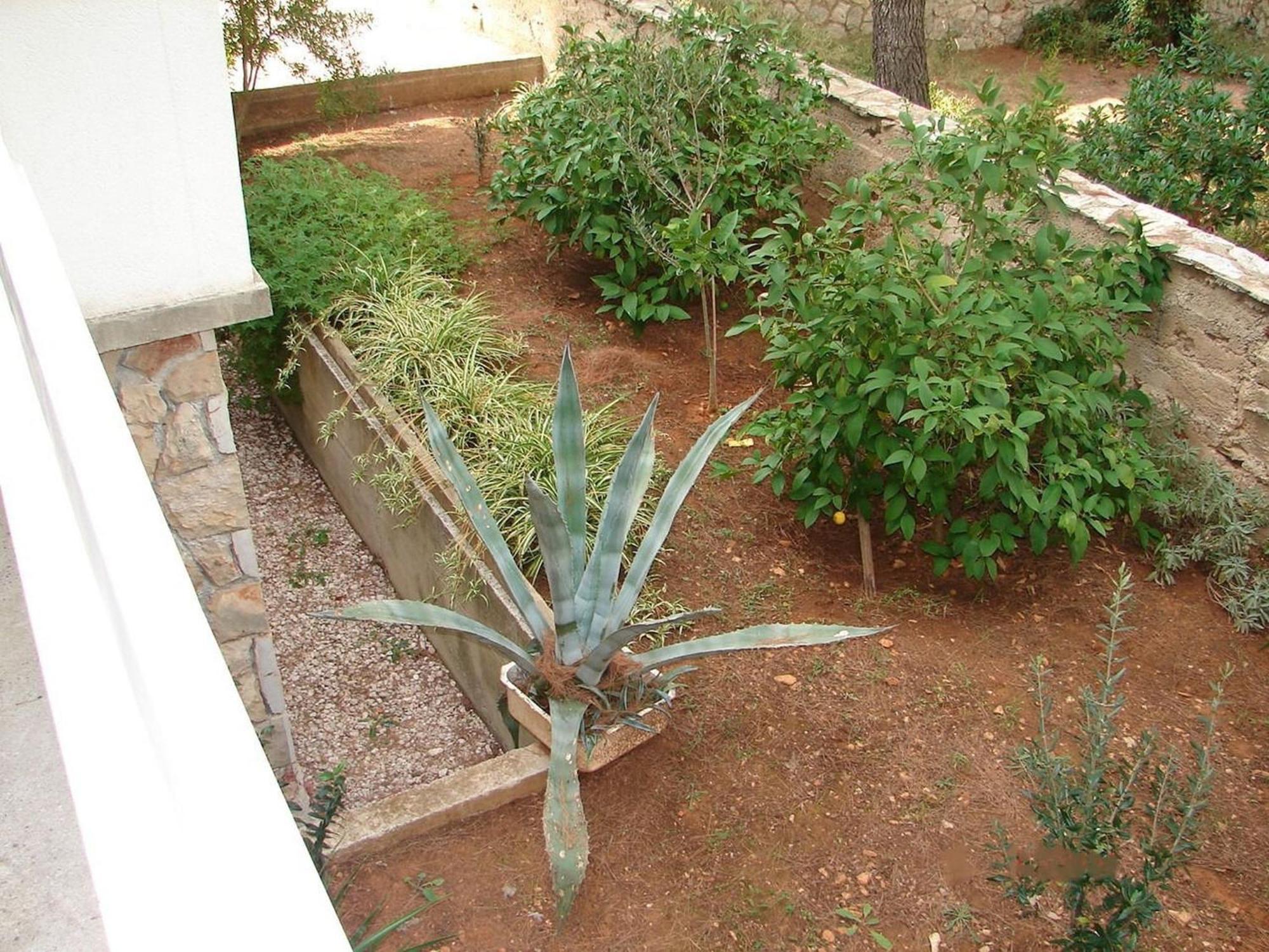 ילסה Apartments Matkov - Quite And Peaceful Location מראה חיצוני תמונה